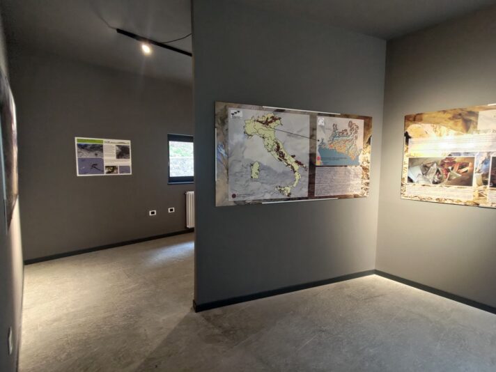 vigea_museo_scerscen_8