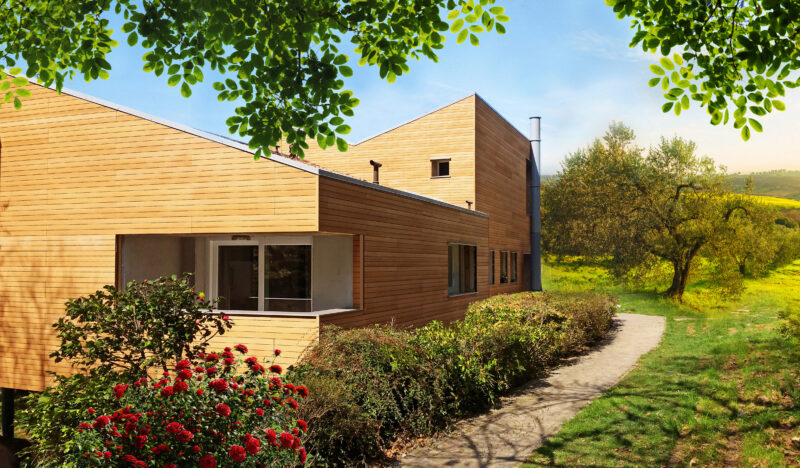 20230316_121237 MOD_Fabrizio