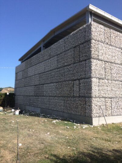 Cantine vinicole (6)