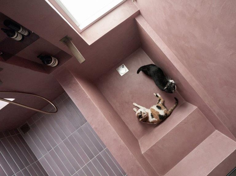The-Meishan-Cat-Project_Pics_Courtesy-of-Shih-Shih-Interior-Design-_20230914-120346_1