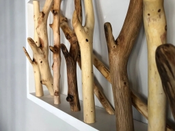 Tronchi appendiabiti da parete in legno