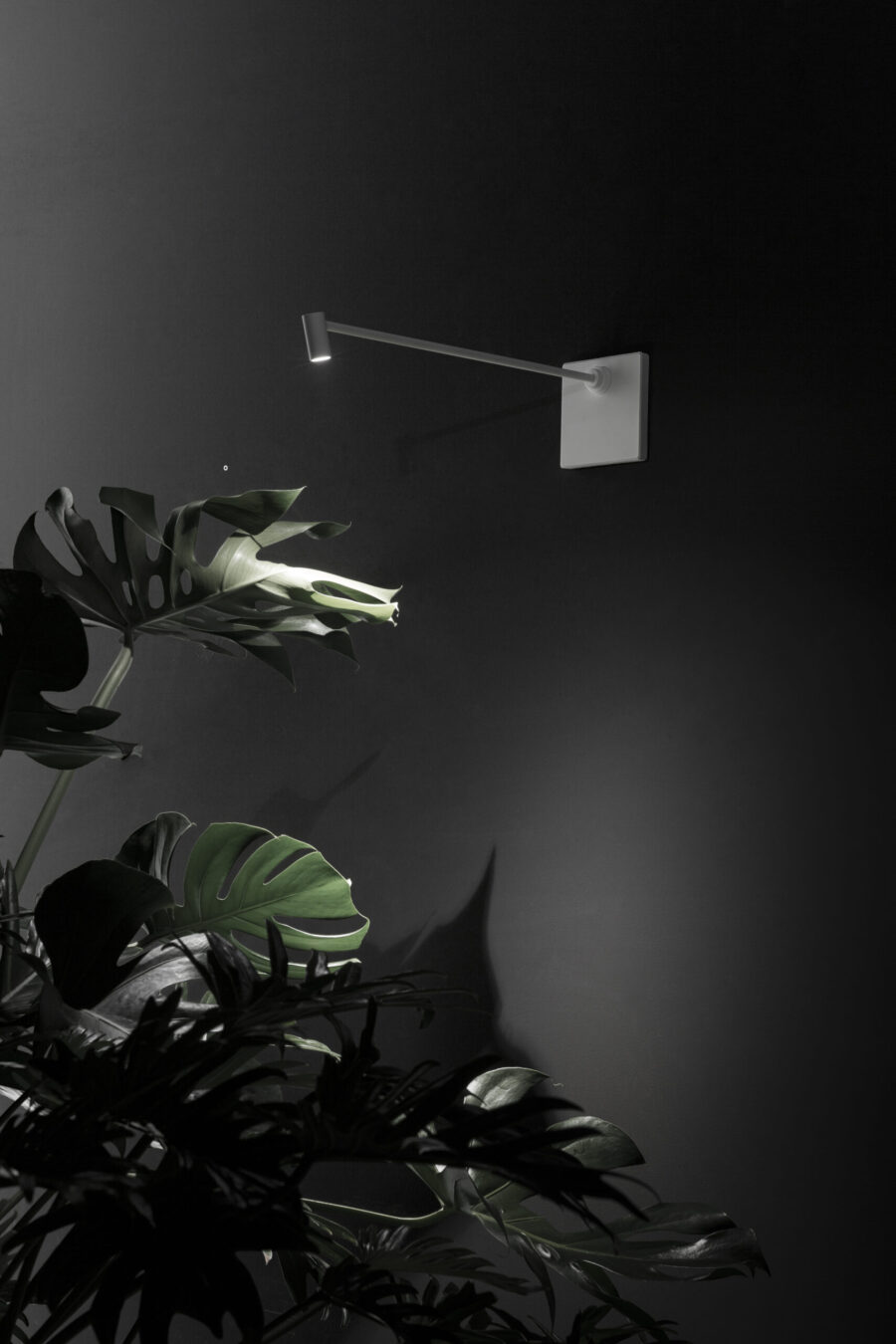 02_Halley
