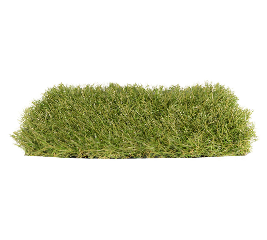 12-ITS_500_ENJOY_2