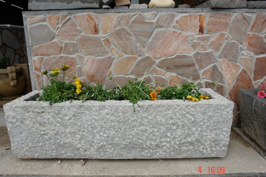 DSC00928-1030x687-1