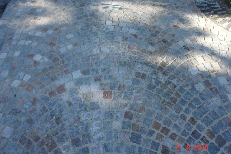 DSC01410-1030x687-1