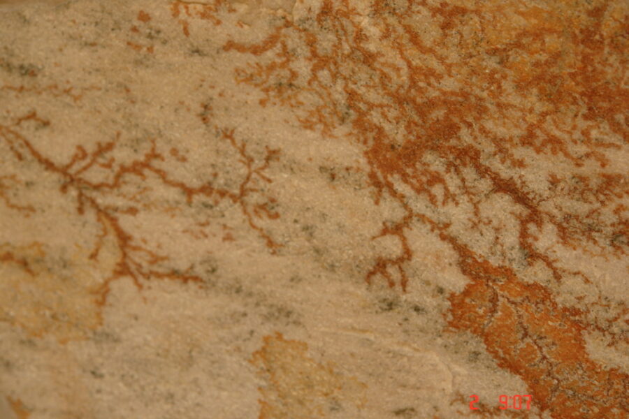 DSC03985-1030x687-1