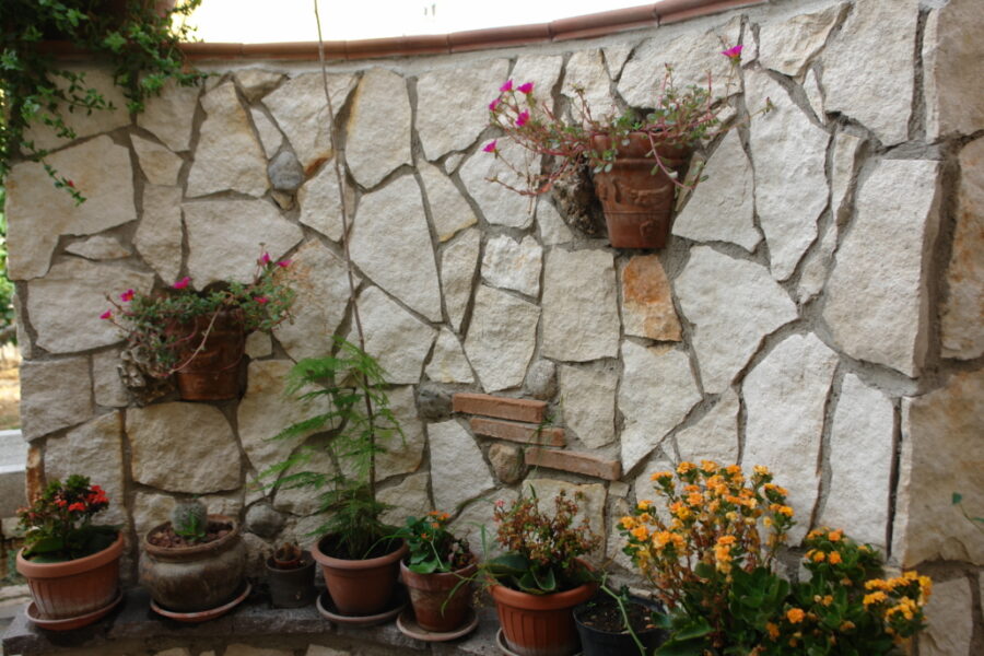 DSC09402-1030x687-1