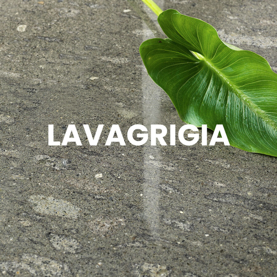 LAVAGRIGIA