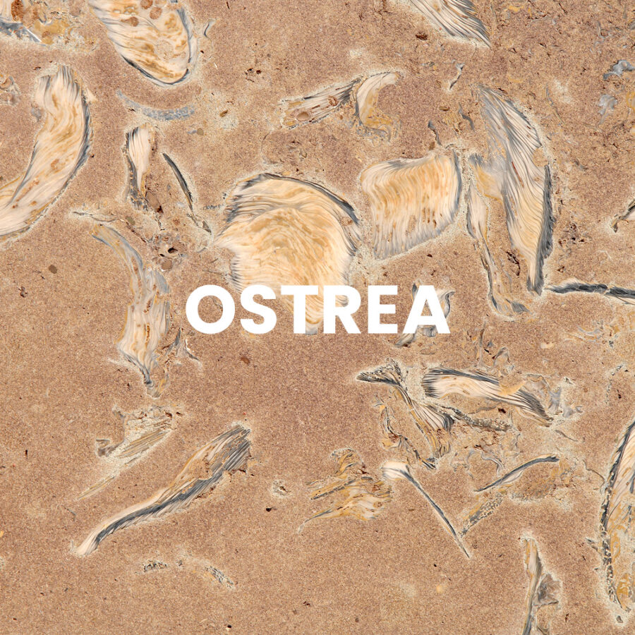 OSTREA
