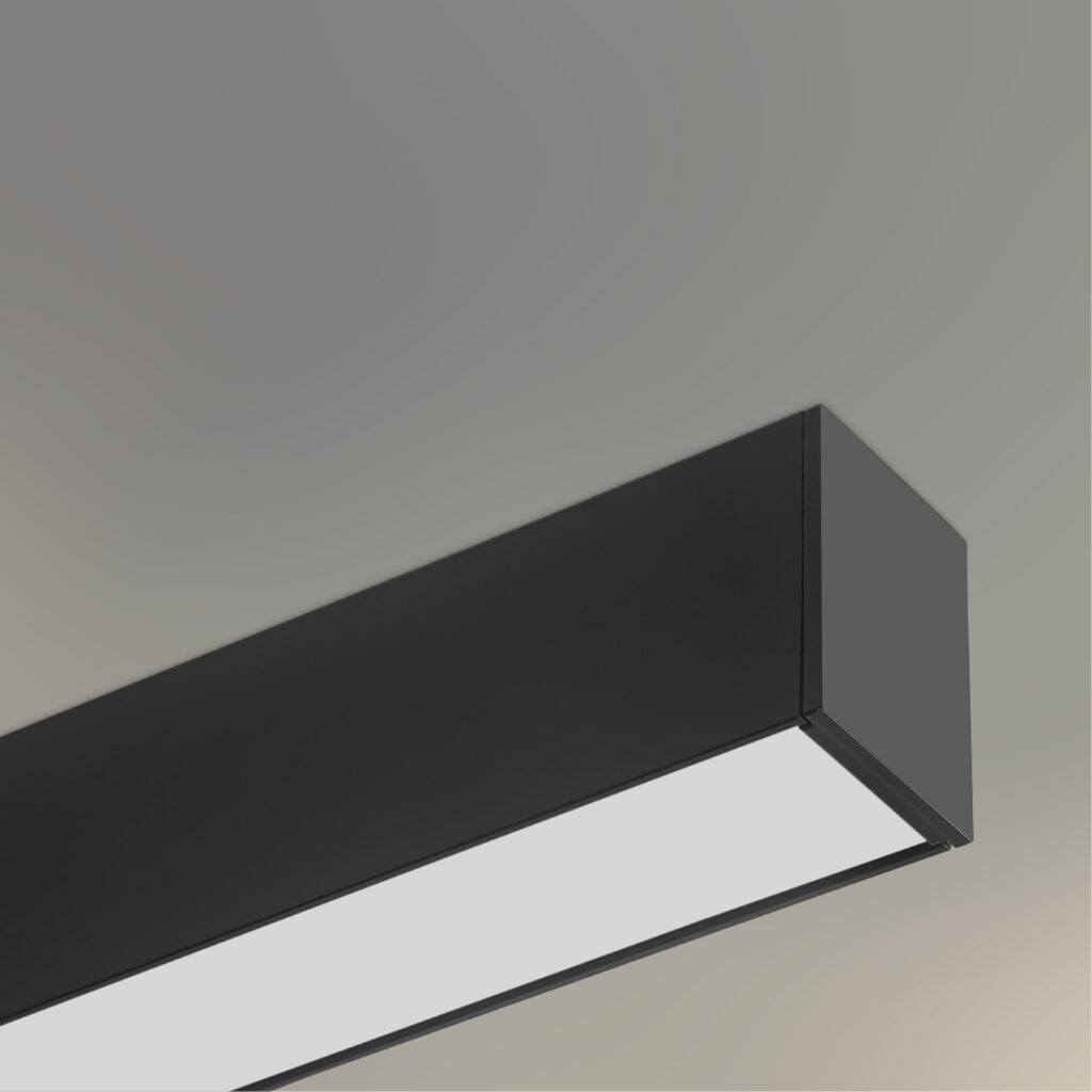 VECTOR A 9813 PARTICOLARE 1 2