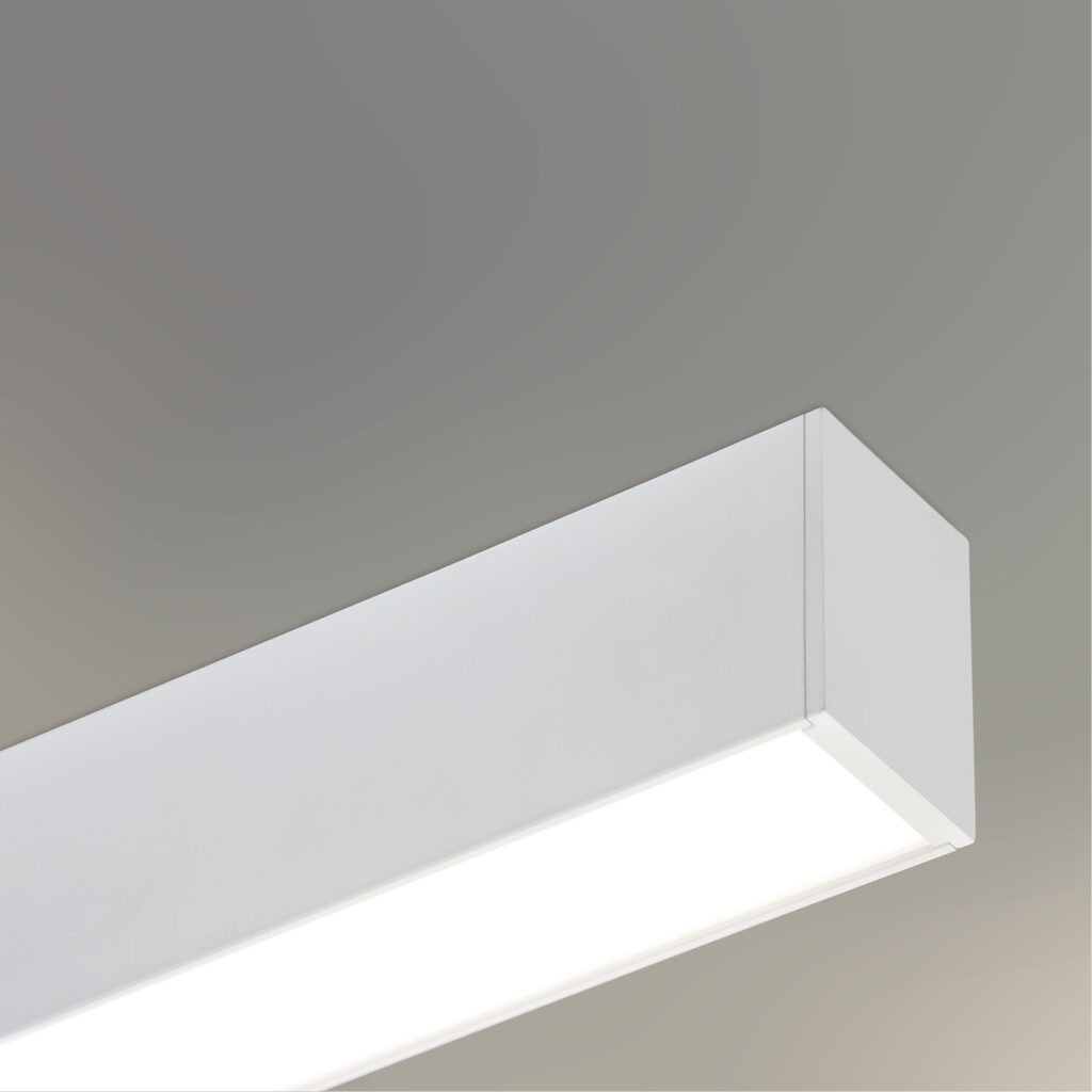 VECTOR A 9814 PARTICOLARE 1