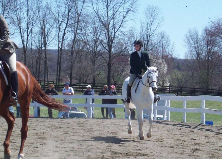consolidamento-sottofondi-equestri-easy-ride-daliform