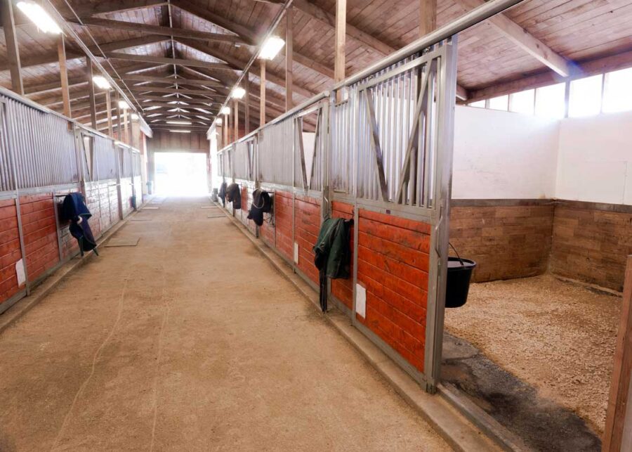 stabilishing-the-ground-in-horse-free-stalls
