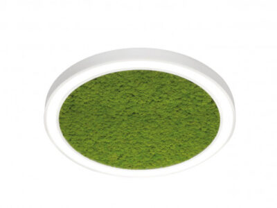 vector-round-moss-9836