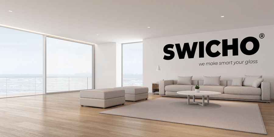 Pellicola LCD Grey - SWICHO - immagine 2