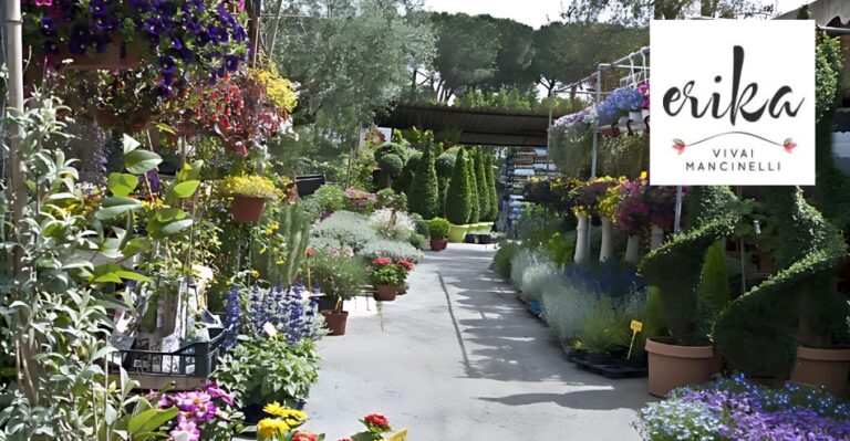 Azienda Vivaistica Mancinelli – Erika Vivai Mancinelli: eccellenza florovivaistica alle porte di Roma