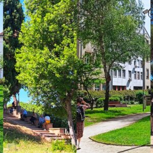 Ambiente: ENEA propone 25 soluzioni green contro le isole di calore urbane