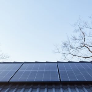 Via libera condizionato alla liberalizzazione degli impianti a basso impatto: Parlamento approva il correttivo al TU Rinnovabili