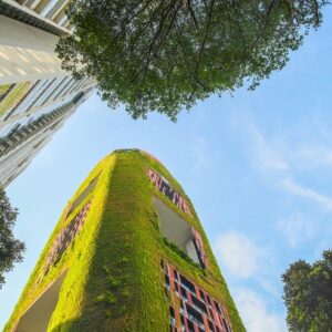 Rinascenza urbana: al Senato una proposta di legge per riconoscere l’architettura come bene pubblico