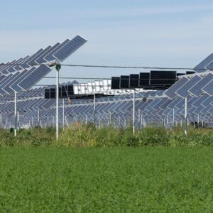 Agrivoltaico e PAS: il TAR Sicilia chiarisce i limiti sulle altezze dei tracker solari