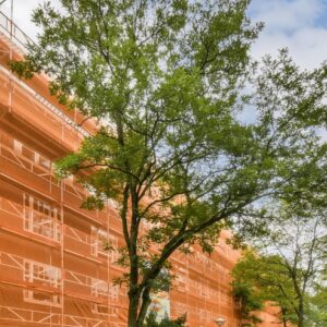 Prevenzione antisismica nelle aree interne: aperto il Bando da 200 milioni di euro