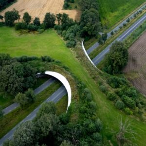 Ripristino della natura, l’Italia definisce le regole per il Piano nazionale