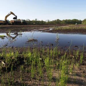 Decreto Ambiente 2026: cambiano VIA, bonifiche, terre da scavo e CSS. 200 milioni per la Terra dei Fuochi