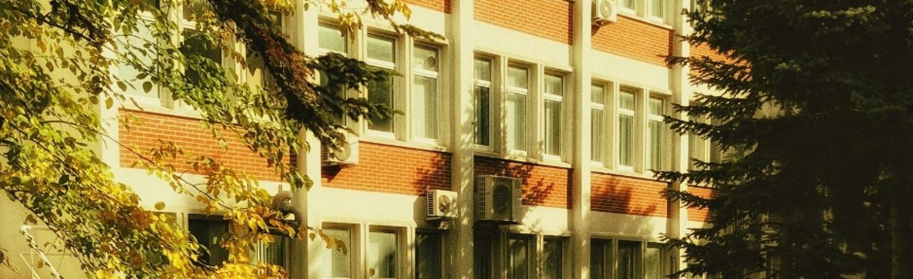 Articoli ESN - 2